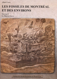 Les fossiles de Montréal et les environs, la mer du Chazy, vol. 3