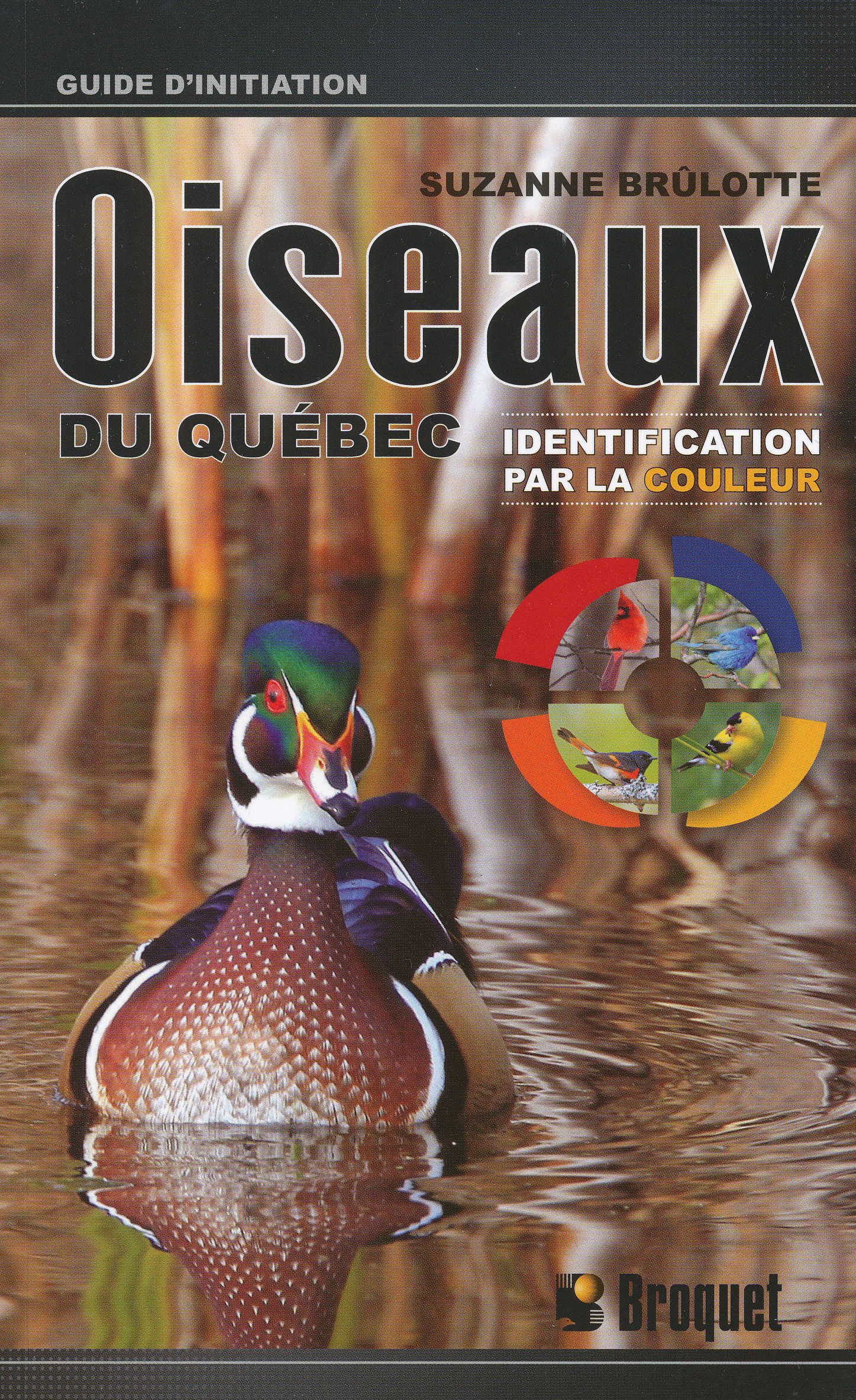 Oiseaux du Québec identification par la couleur