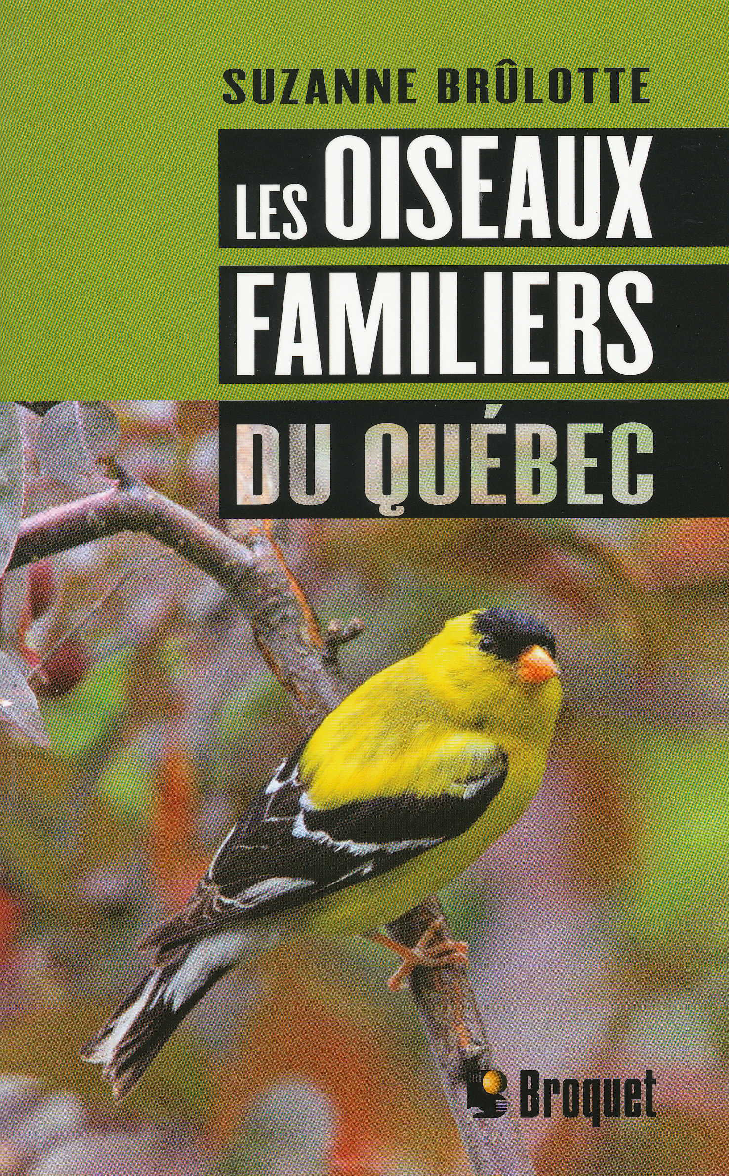 Les oiseaux familiers du Québec